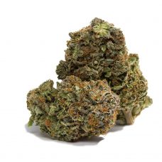 An image of White Urkle marijuana on a white background