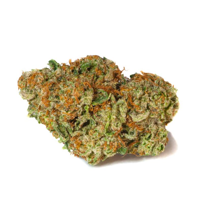 An image of a LA Amnesia marijuana bud on a white background