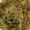 King Louis XIII