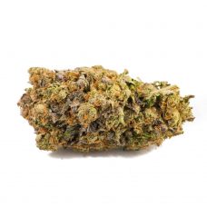 An image of the marijuana strain Chunky Monkey on a white background