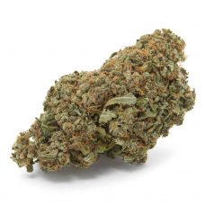 An image of a Couch Lock marijuana bud on a white background