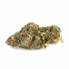 An image of the Dream Machine strain bud on a white background