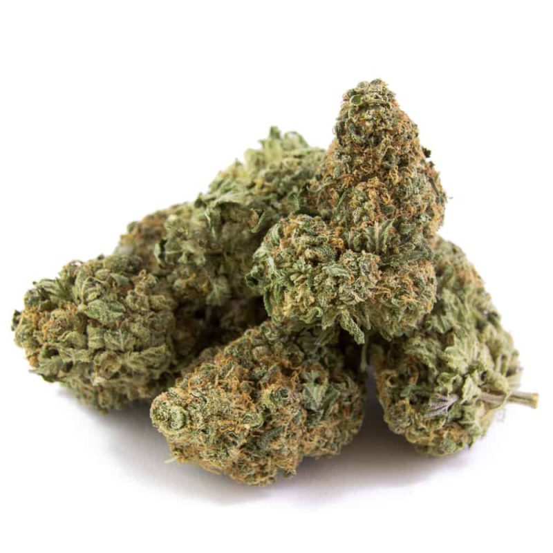 An image of Royal ACDC buds on a white background