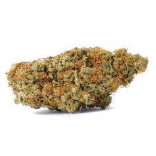An image of a Sugar Daddy Cookies marijuana bud on a white background