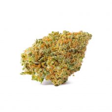 An image of Phantom Cookies marijuana on a white background