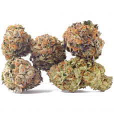 An image of 5 Alien Candy strain marijuana buds on a blank white background