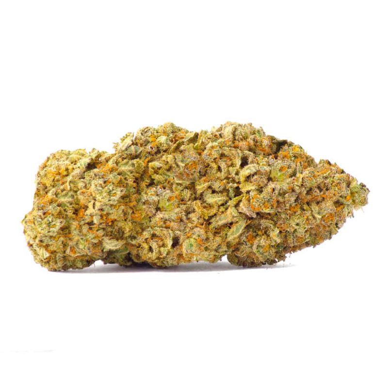 An image of a Chocolope Kush marijuana bud on a white background