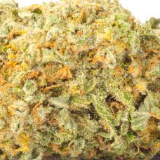 A close up image of a Forbidden Fruit strain marijuana bud on a blank white background