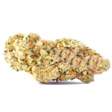 An image of a large Sour Lemon Mac marijuana bud on a white background