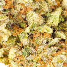 A close up image of a Sour Lemon Mac marijuana bud