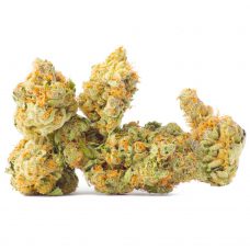 An image of Cinex marijuana buds on a white background