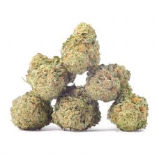 An image of 6 Triple Mint Trainwreck strain marijuana buds on a blank white background