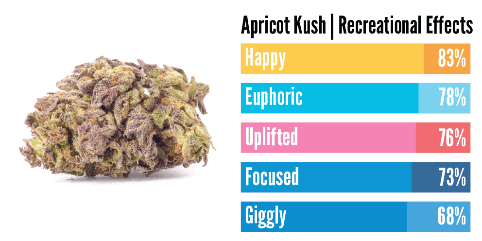 "the effects of apricot Kush"