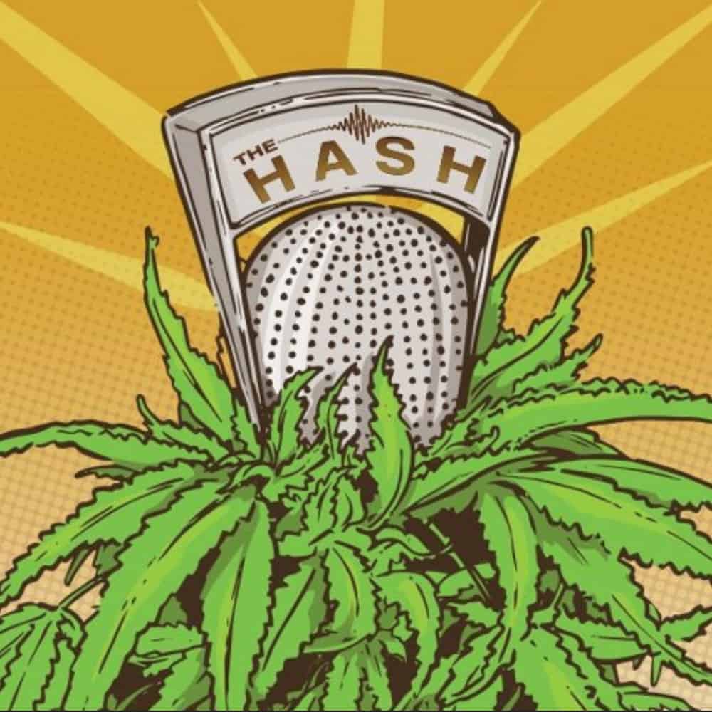 Hash vs weed photo