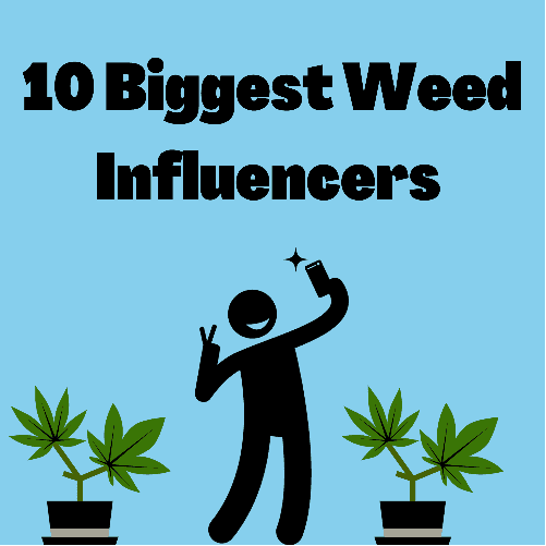 10 biggest weed influencers 