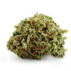 An image of Oreoz marijuana on a white background