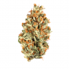 Tropicana Cookies