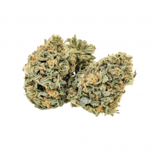 An image of Walker Kush on a white background