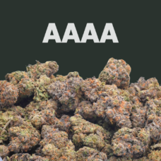 AAAA