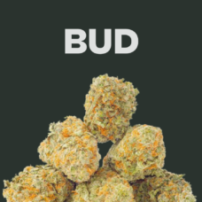 Bud