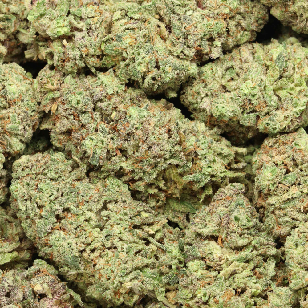 mac 10 close up