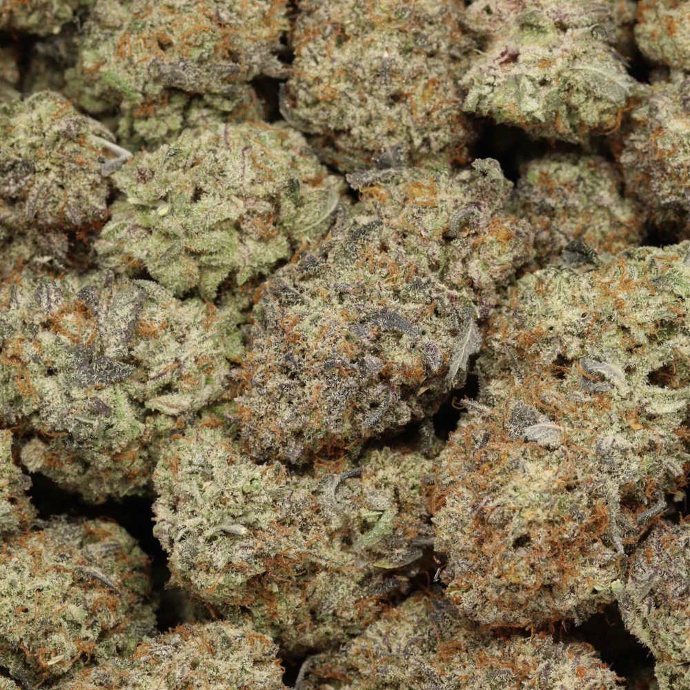 afghan kush buds close up