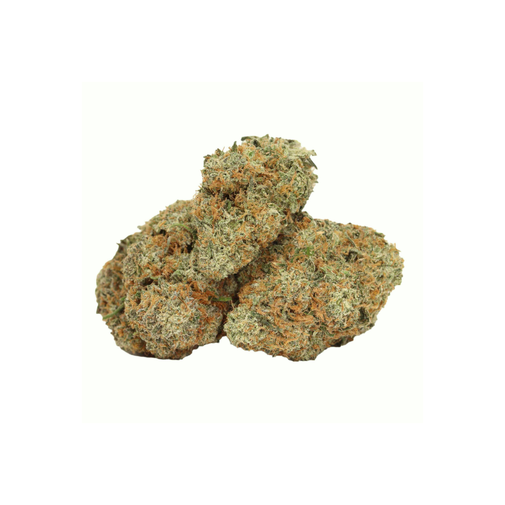 bernie hana butter buds