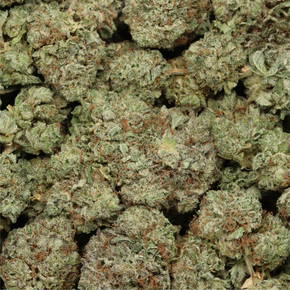 baked animal close up