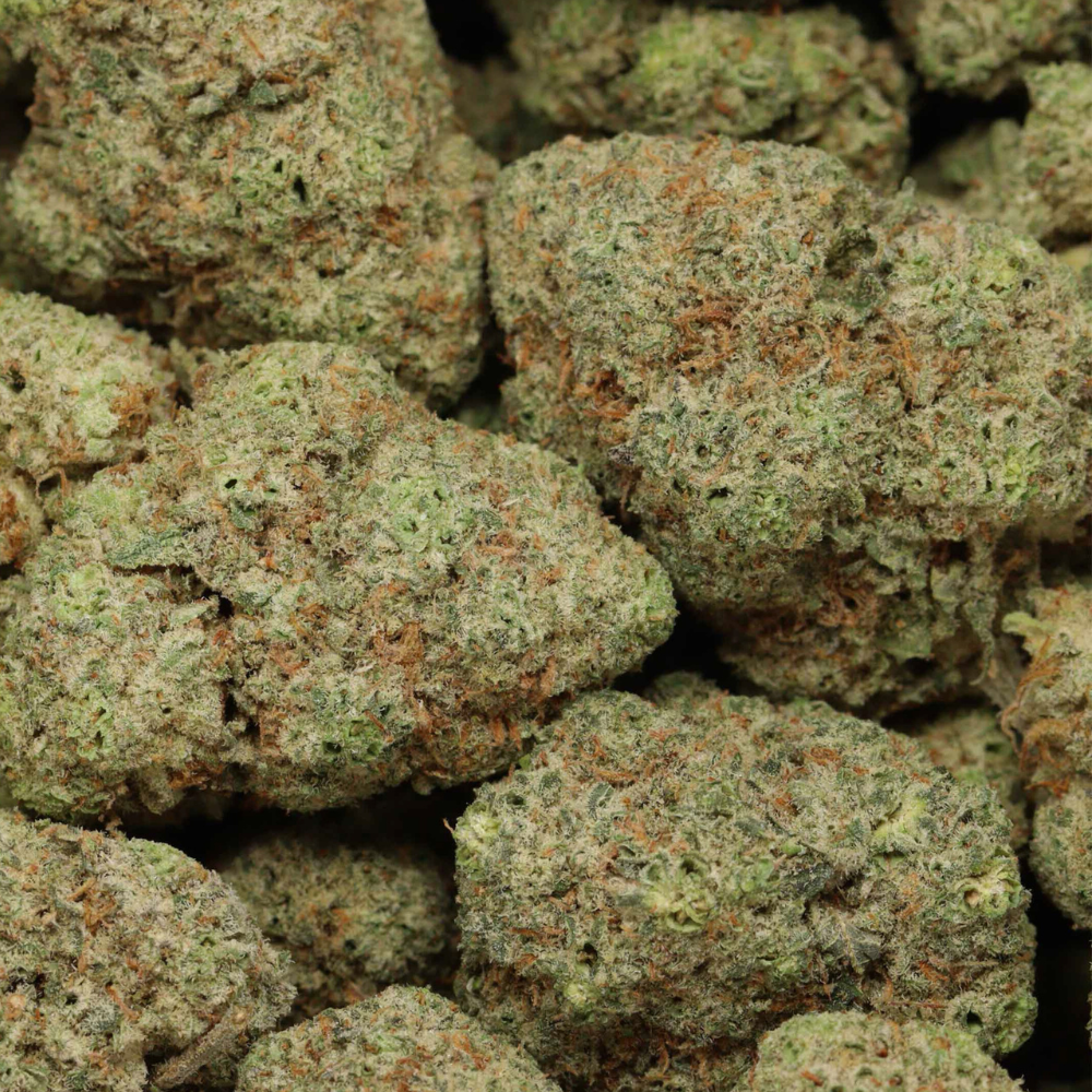 close up bubba g buds