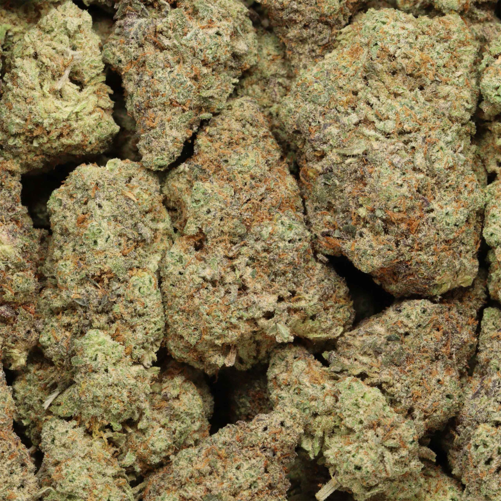 close up gelonade buds