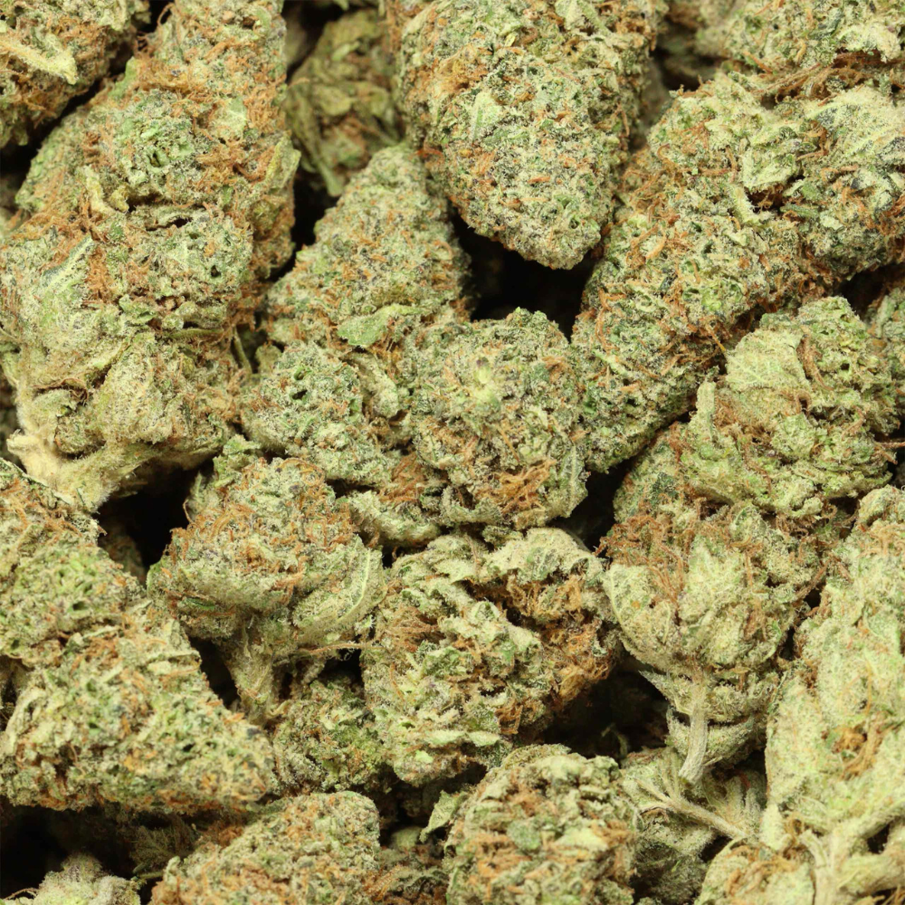 close up gods green crack buds