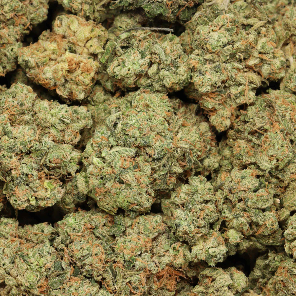 grape stomper close up