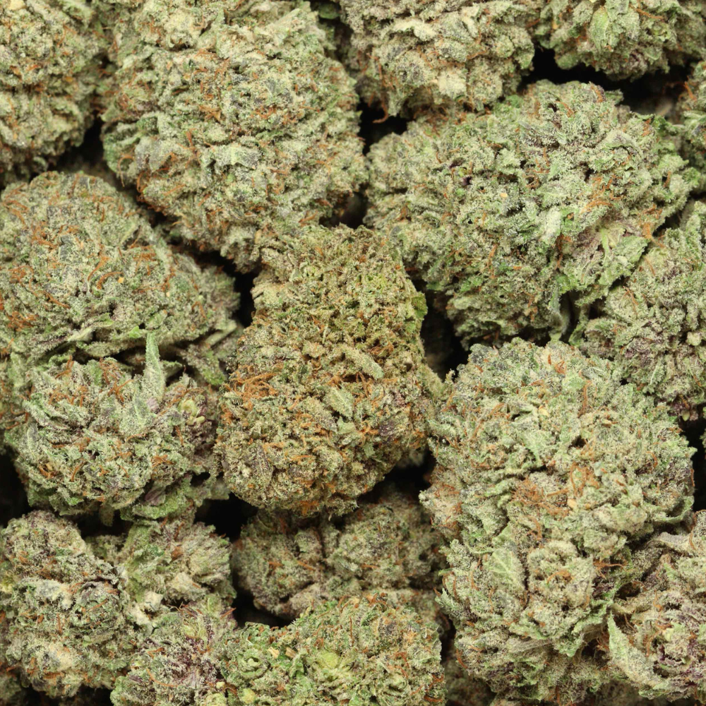 kosher Kush up close