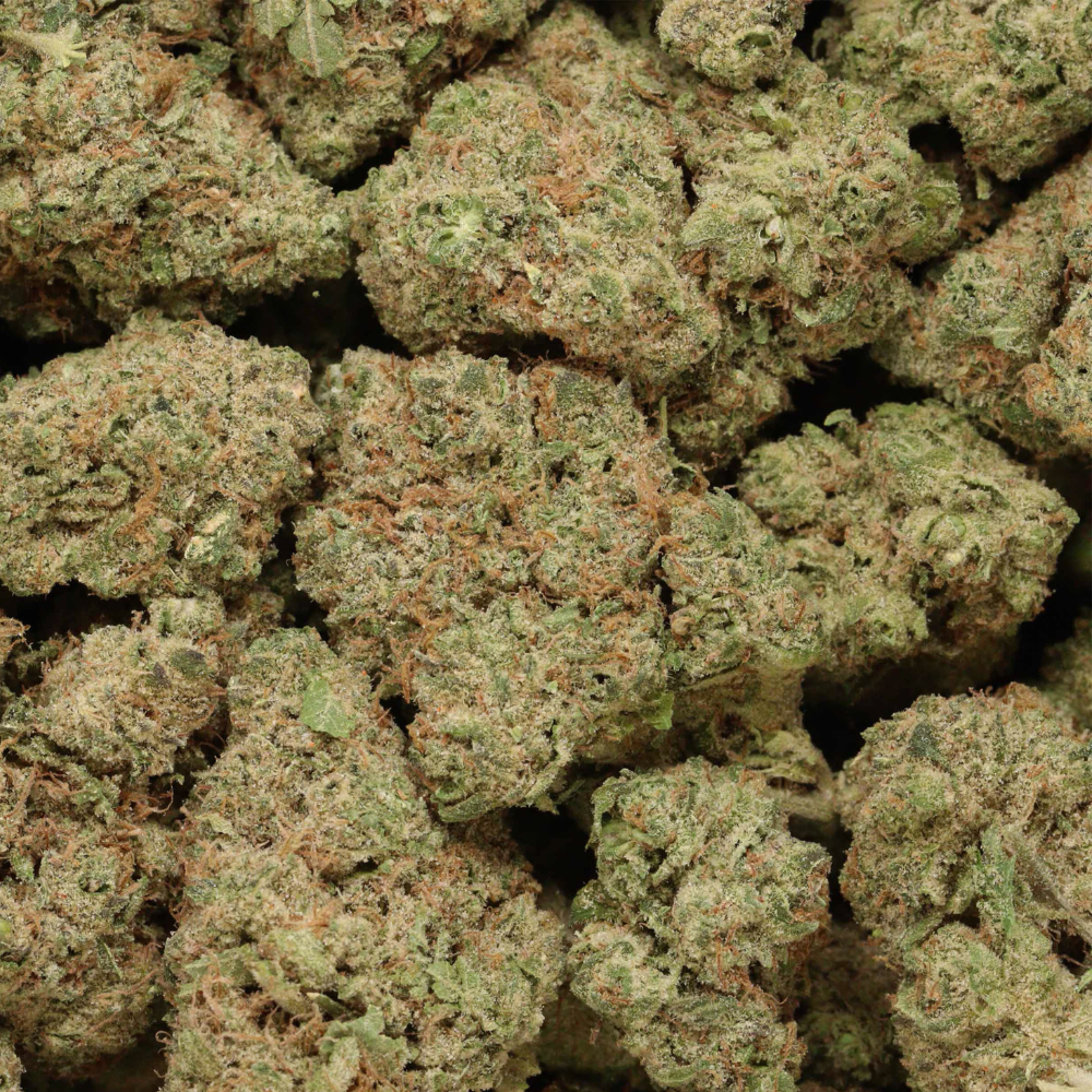 close up kush cookies