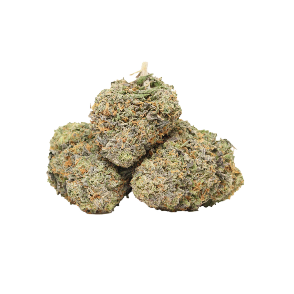 og shark buds
