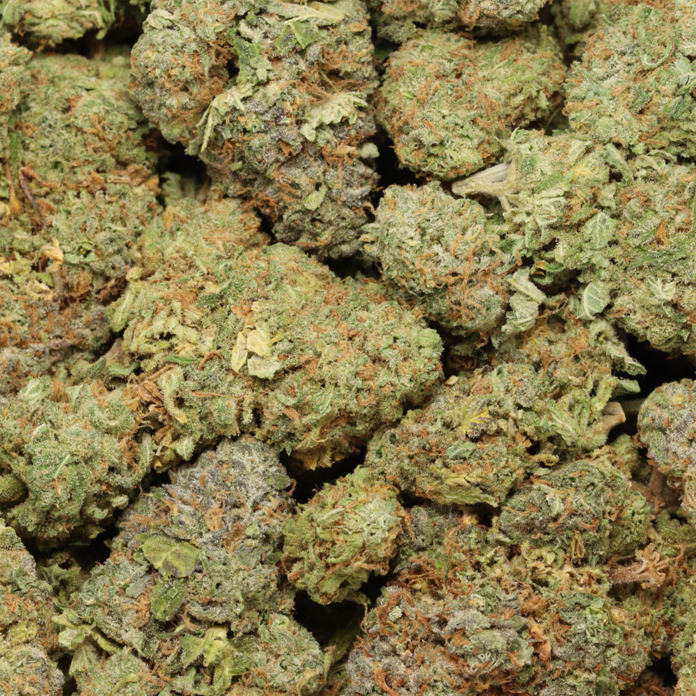 close up peanut butter buds in bag