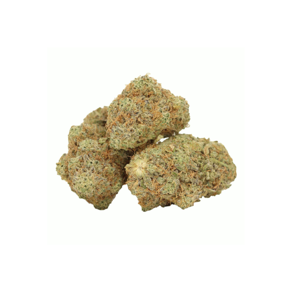 pink champagne buds