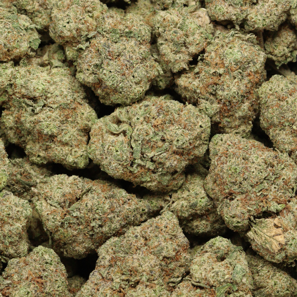 space queen close up buds