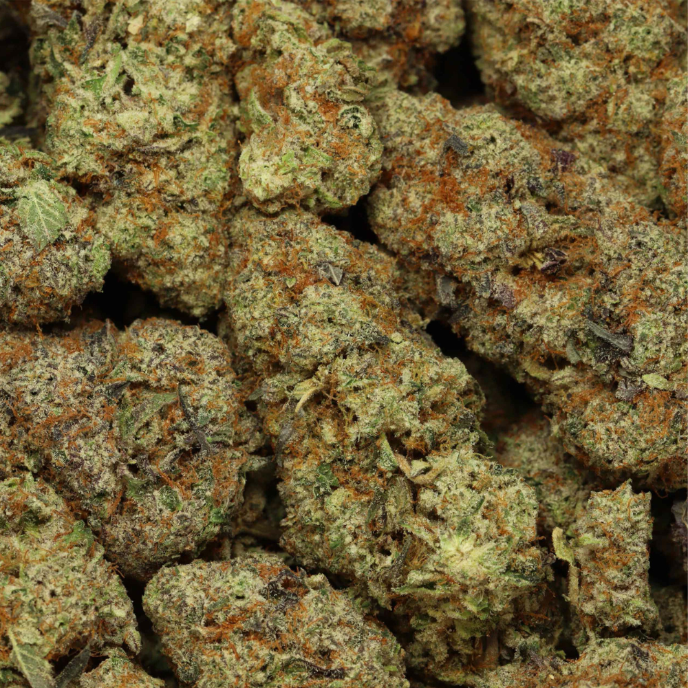 uk cheese close up