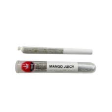 Pre-roll labeled "Mango Juicy" resting above a glass container holding another identical pre-roll, both displayed on a clean white background