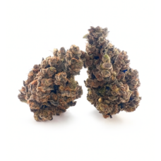 Two Rozay Cake cannabis buds sit side by side on a clean white background with soft natural lighting. The buds show a mix of deep green, purple, and orange hues coated in trichomes, casting a faint shadow beneath them