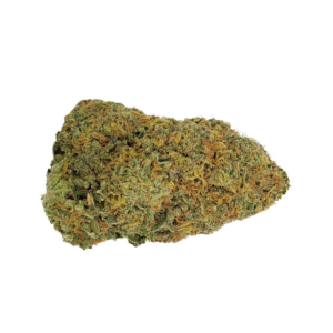 Big Buddha Kush bud