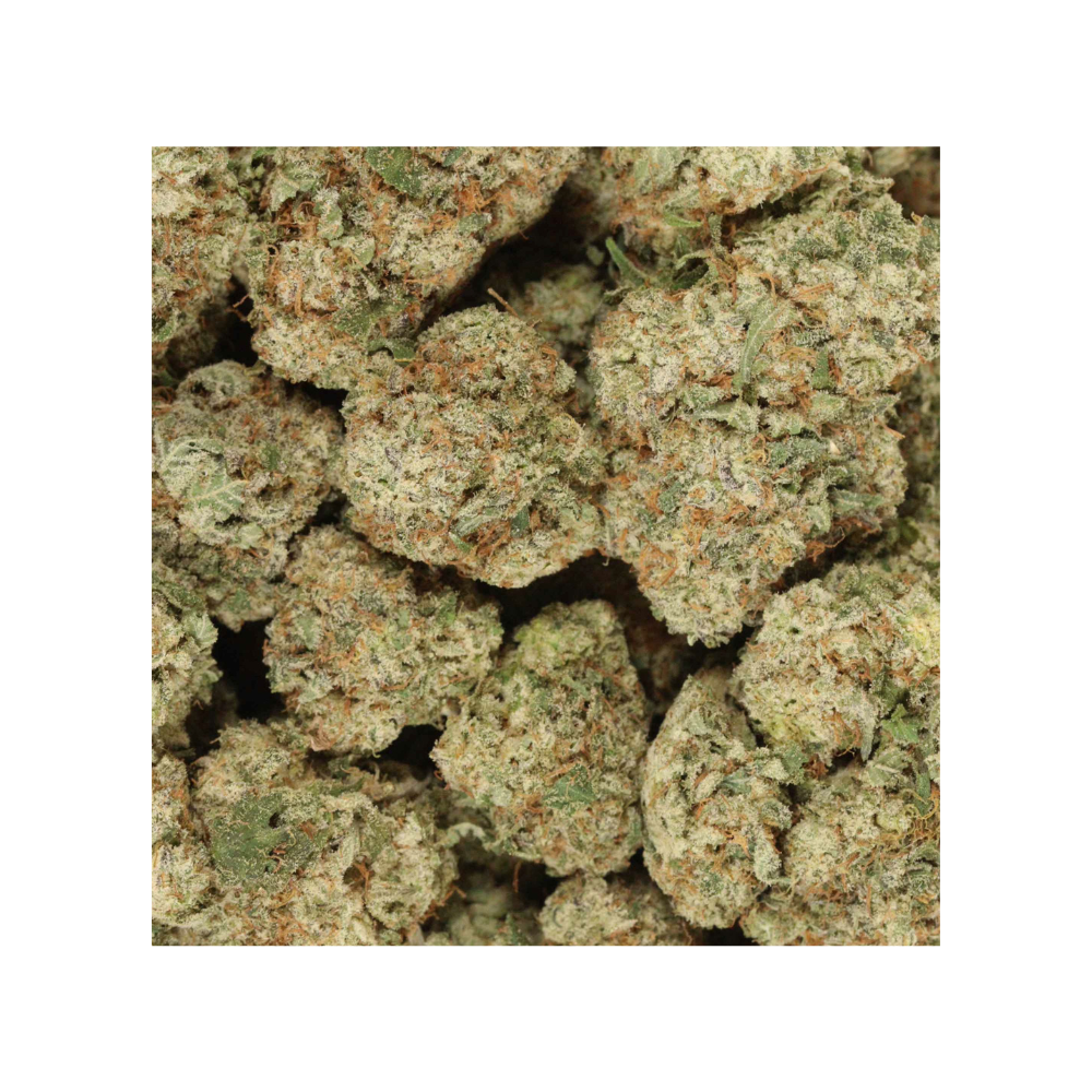 burnt cookies bag photo