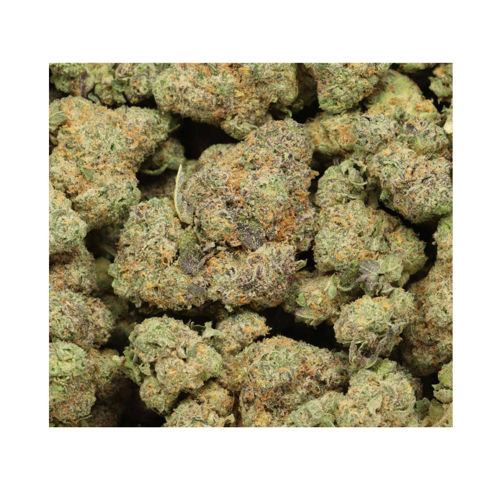 Critical Mass bag photo