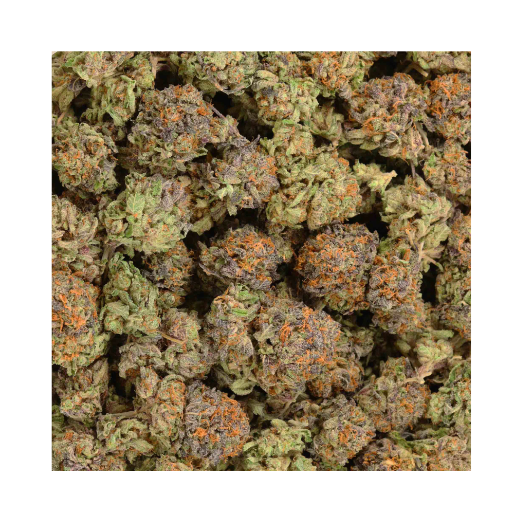 G13 bag photo