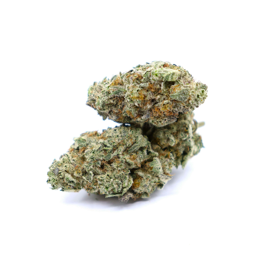 powder hound bud