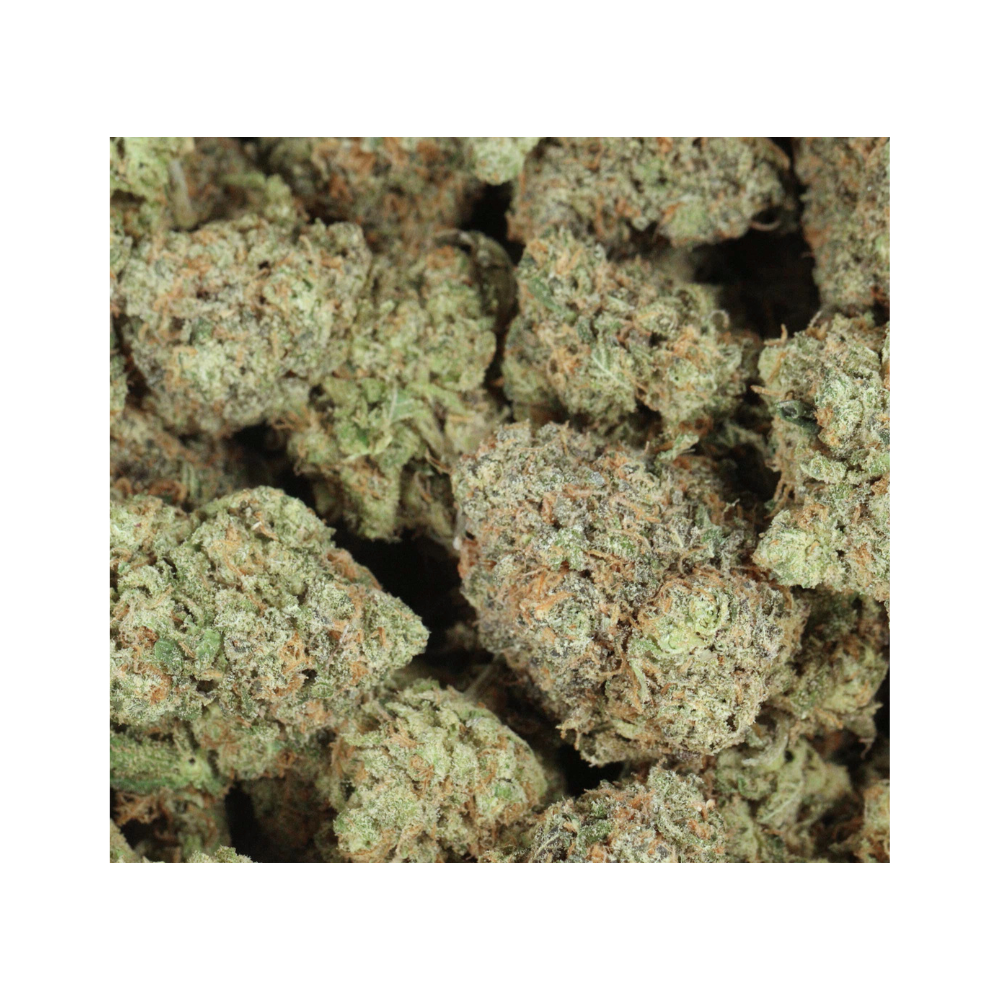 alien OG bag photo