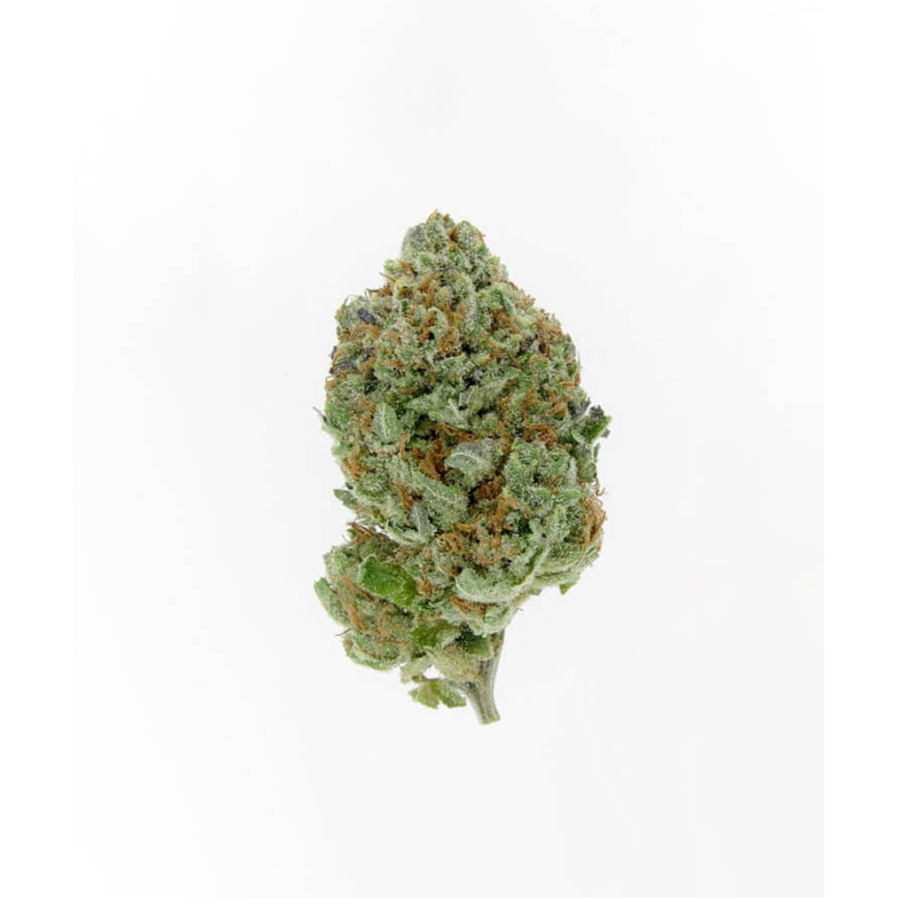 alien og bud