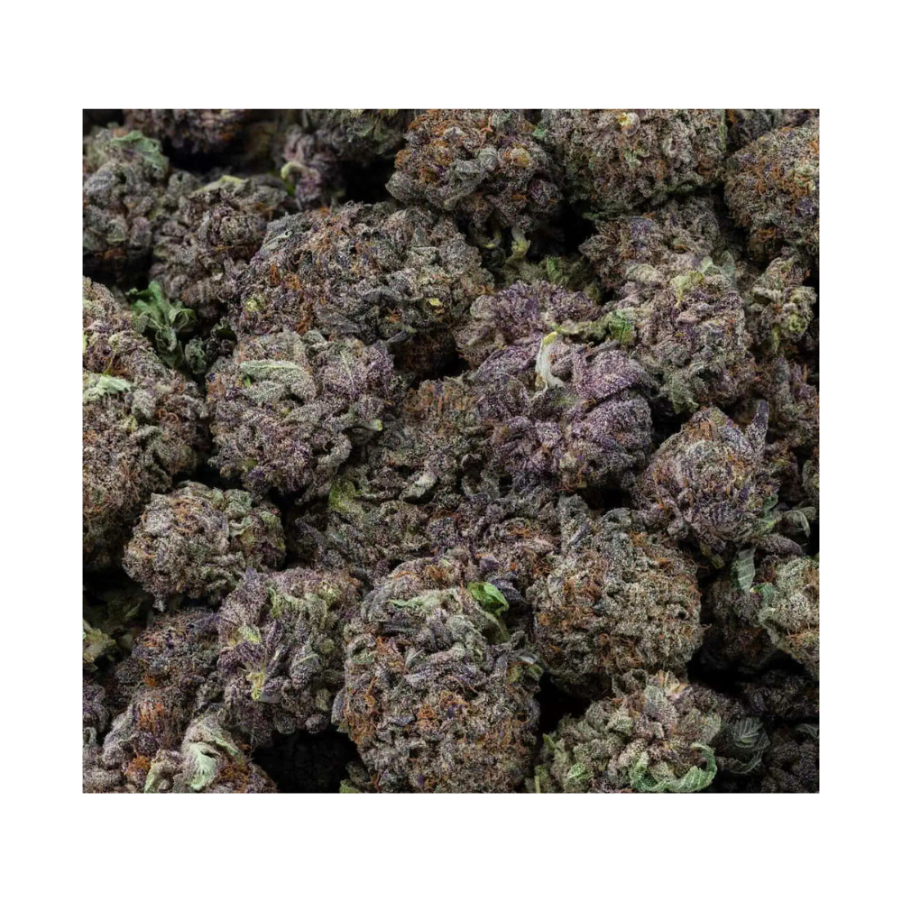 blood diamond og bag photo