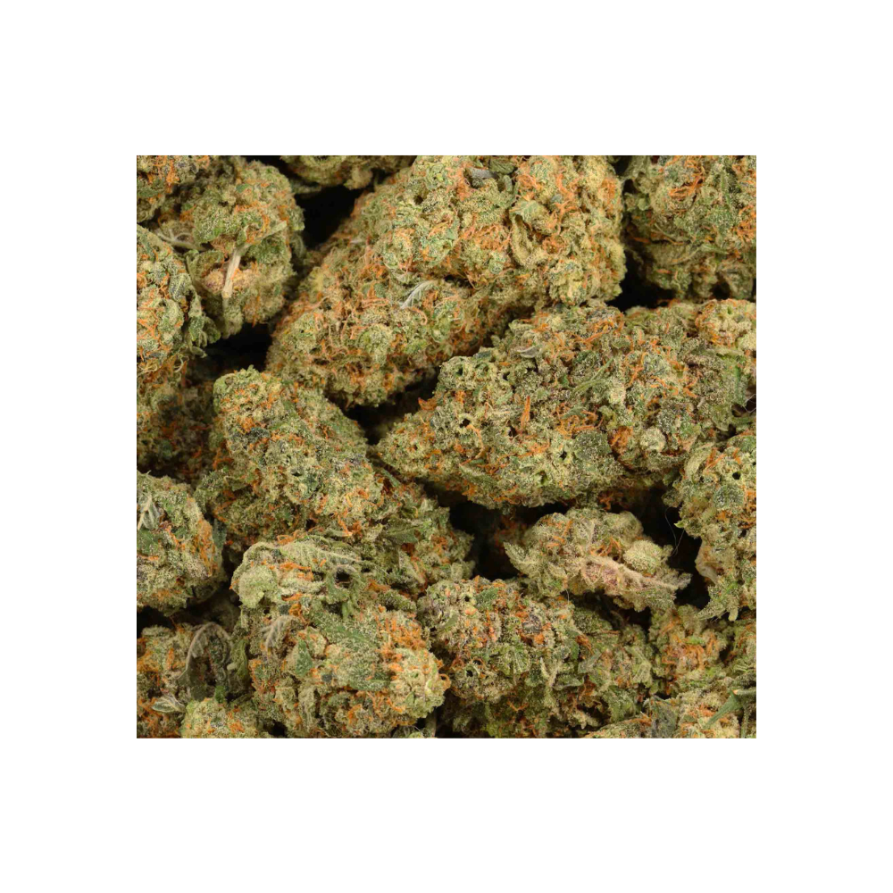 gelatti strain bag photo